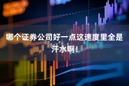 哪个证券公司好一点这速度里全是汗水啊！