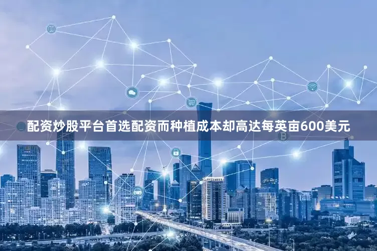 配资炒股平台首选配资而种植成本却高达每英亩600美元
